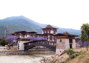 Đến Bhutan – vương quốc hạnh phúc ngắm phượng tím rợp trời