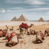7 trải nghiệm nên thử khi du lịch Ai Cập
