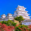 4 điểm đến tuyệt đẹp để ngắm mùa thu Nhật Bản
